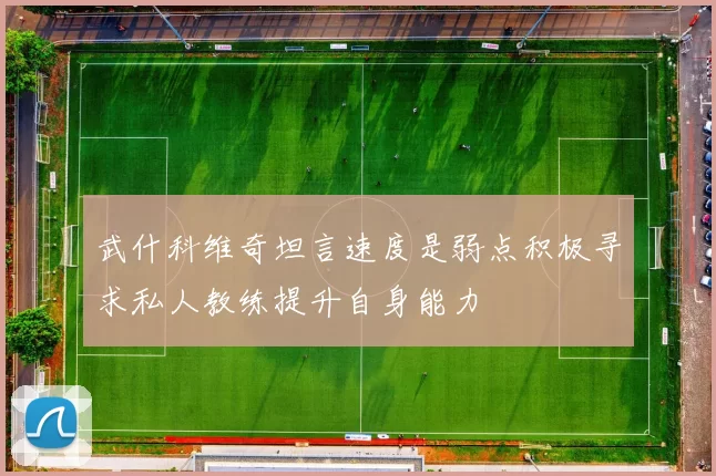 武什科维奇坦言速度是弱点积极寻求私人教练提升自身能力