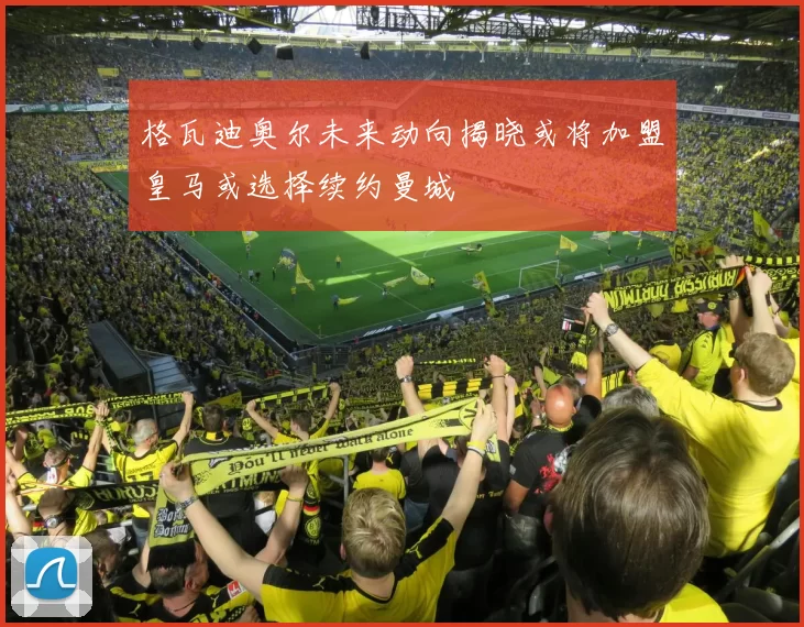 格瓦迪奥尔未来动向揭晓或将加盟皇马或选择续约曼城