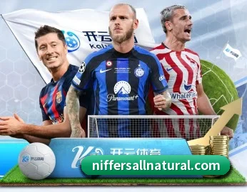 九游app在线入口的故事 - 体育资讯内容服务
